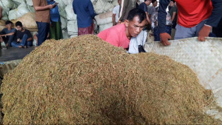 Harga Tembakau Kering di Pamekasan Anjlok, Petani : Tak Sesuai Harapan