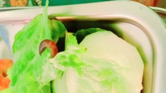 Viral! Ulat Ditemukan di Sayur MBG Sumenep, Warga Minta Evaluasi Total