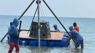 Hexa Reef, Tangkal Abrasi, Solusi Jaga Ekosistem dan Hidupkan Pariwisata Bangkalan