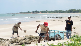 Hexa Reef di Tlangoh Jadi Benteng Abrasi dan Penggerak Ekonomi Warga