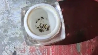 Ternyata Ini Penyebab Warga Pamekasan Berburu Emas Diselokan