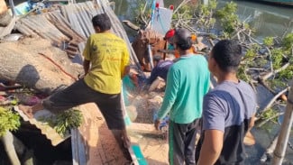 Pohon Tua Tumbang di Bangkalan, Timpa Perahu Nelayan dan Warung Warga