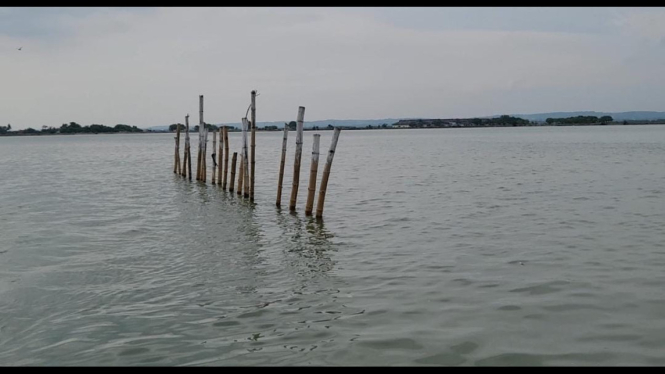 Pagar laut yang sempat didirikan di laut Desa Gresik Putih Sumenep