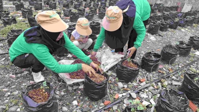 Dukung ketahanan pangan, warga Bangkalan tanam cabai