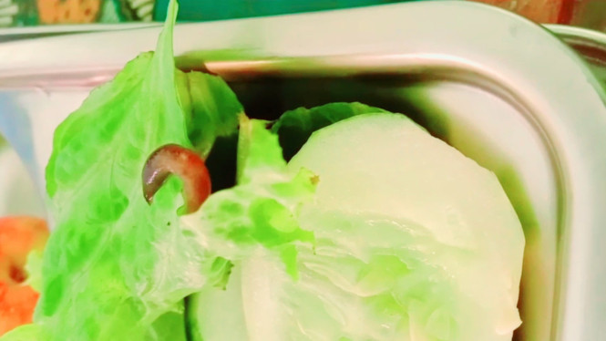 Insiden Ulat di Sayur MBG Sumenep Picu Evaluasi Pengawasan SPPG