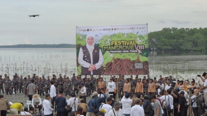 Gubernur Jatim tanam mangrove di Bangkalan