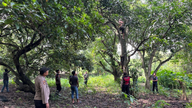 ODGJ di Bangkalan ngamuk