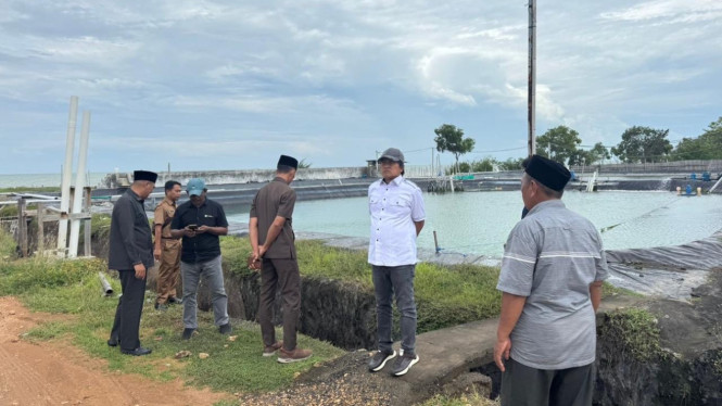 Ratusan Tambak Udang Bodong di Sumenep
