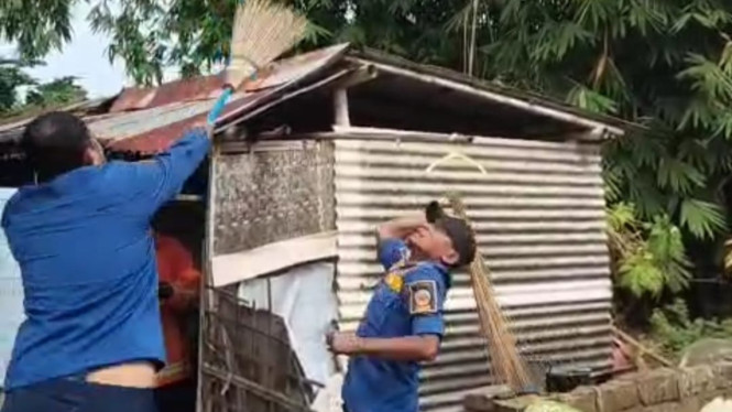 Proses evakuasi tawon vespa Bangkalan