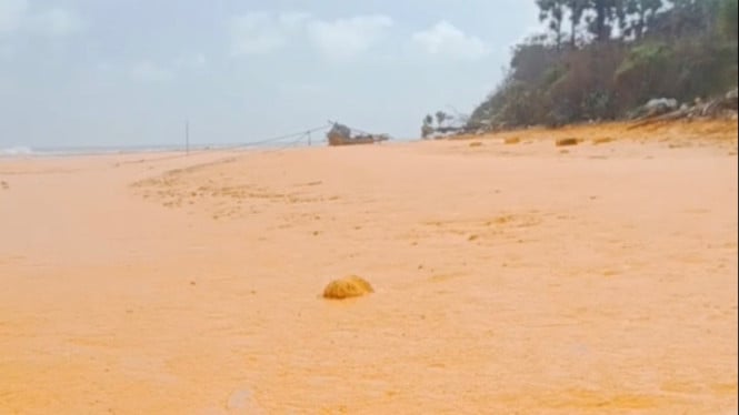 Crude Palm Oil dipesisir pulau Gili Iyang Sumenep