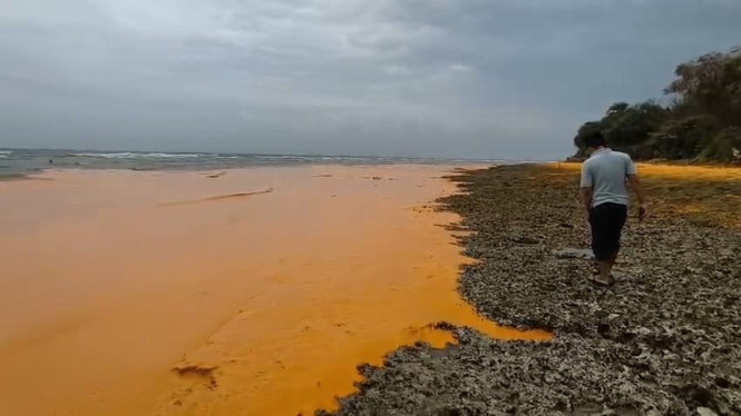 Tumpahan Crude Palm Oil (CPO) diperairan Pulau Gili Iyang Sumenep