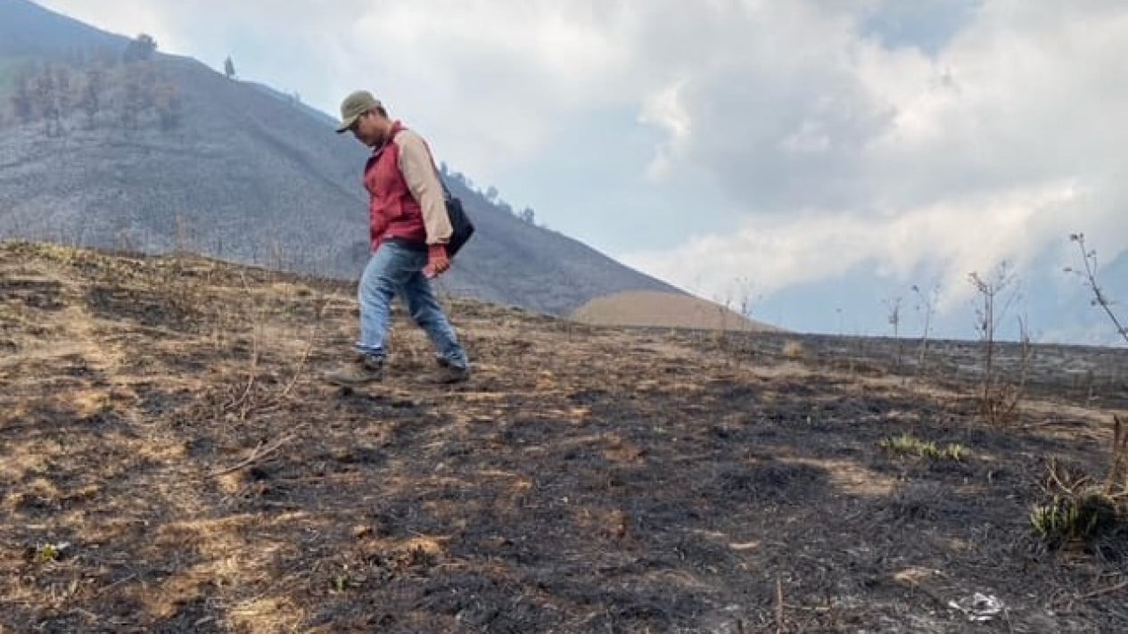 Foto Waduh Luasan Area Kebakaran Gunung Bromo Capai Hektar