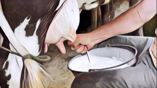 Marak Penyakit PMK, Masyarakat Masih Aman Minum Susu