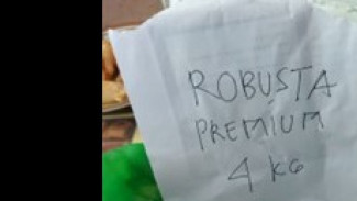 Dosen dan Mahasiswa UB Dampingi UMKM Kopi