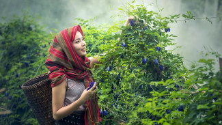 Sektor Pertanian Bisa Dongkrak Pemulihan Ekonomi