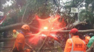 Cuaca Ekstrem Malang Raya Akibat Gangguan Atmosfir Kelvin dan Rossby