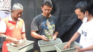 Manfaatkan Ruang Kosong, Warga Tunjungsekar Kota Malang Ternak Maggot