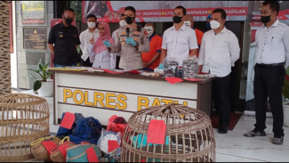 Tempat Judi Sabung Ayam di Kasembon, Dibubarkan Polres Batu