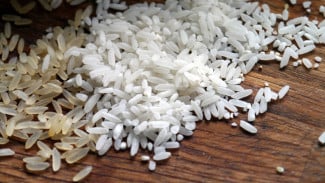 Pemerintah Terbitkan Aturan Penyaluran Cadangan Beras