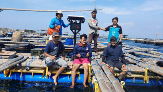 Tingkatkan Keamanan Produksi Kerapu Gili Ketapang Lewat Tenaga Surya