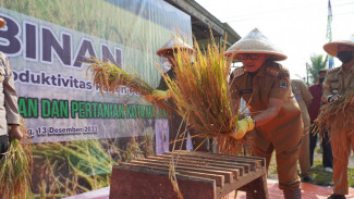 Cara Pemkot Malang Tekan Inflasi Dengan Pertanian Kota