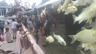Asik, Ada Kolam Yin Yang dan Akoirium di Taman Rekreasi Selecta