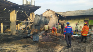 Kebakaran Kandang di Jombang, Puluhan Ribu Ayam Terbakar