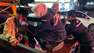 Pohon Tumbang Sebabkan 4 Pengendara Terluka