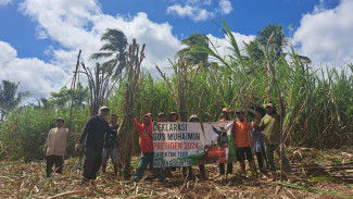 Unik Petani Tebu Malang Selatan Deklarasi Cak Imin Presiden 2024 di Tengah Ladang