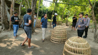 Polisi Grebek Tempat Judi Sabung Ayam di Jombang