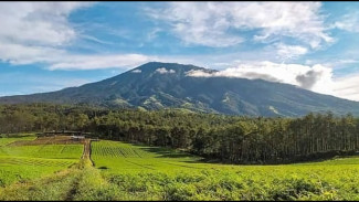 3 Elang Jawa Terekam Kamera, Lereng Gunung Arjuna Bisa Dikembangkan jadi Eco Tourism