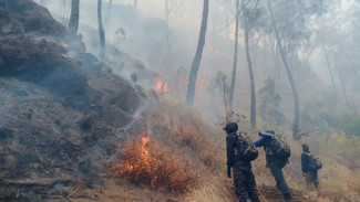 Terkendala Cuaca Panas dan Tinggi, Kebakaran di Gunung Arjuna Belum Bisa Dipadamkan
