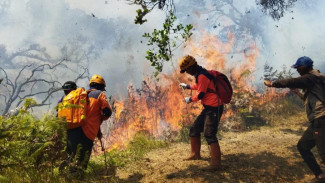 Waspada, Kebakaran Gunung Arjuno Meluas Hingga Wilayah Kota Batu