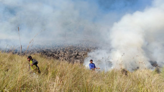 Pengunjung Diduga Jadi Pemicu Kebakaran, Penyebab Gunung Bromo Ditutup Total