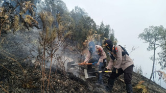 Polisi Periksa 3 Orang Ungkap Dugaan Kesengajaan Pembakaran Lahan di Gunung Arjuno
