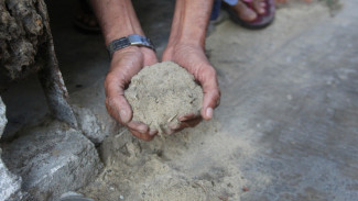 Warga di Jombang Keluhkan Debu Pabrik Kayu, DLH Ngaku Sudah Lapor KLHK