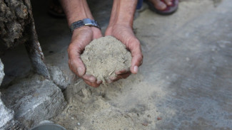 Debu Limbah Pabrik Kayu di Tunggorono Masih Hantui Warga Jombang