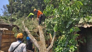 Angin Kencang Landa Kota Batu, 1 Rumah dan 1 Warung Dilaporkan Tertimpa Pohon