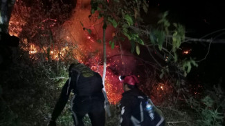 Kawasan Gunung Arjuno Kembali Terbakar, Pemadaman Terkendala Medan Terjal