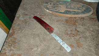 Sebelum Bunuh Menantu yang Hamil 6 Bulan, Polisi Pastikan Khoiri Sadar dan Baru Saja Mandi