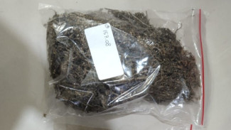 Kelabui Petugas, Pengedar Narkoba di Jombang Masukkan Ganja Dalam Ban Bekas