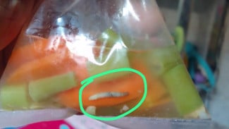 Penyedia Makanan Untuk Stunting di Jombang Akui ada Ulat di Sayur Sup