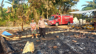 Konsleting Listrik, Kandang Berisi 8000 Ekor Ayam di Jombang Ludes Terbakar