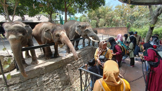 Libur Natal Perputaran Uang di Kota Batu Diprediksi Tembus Rp260 Miliar