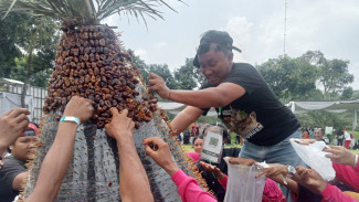 Serunya Berebut Gunungan Kurma 100 Kilogram di Kurma Fest Pasuruan