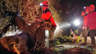 206 Bencana Alam Landa Kota Batu Sepanjang 2023, Kecamatan Bumiaji Paling Rawan