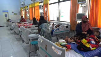 4 Orang Meninggal Dunia dan 6 Dirawat, Tapi Jombang Belum KLB DBD