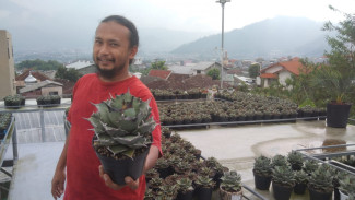 Botani Flora, Jembatan Petani Tanaman Hias Kota Batu Arungi Pasar Global