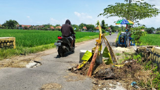 3 Bulan Dibiarkan Rusak, Duiker di Jombang Ditanami Pohon Pisang oleh Warga