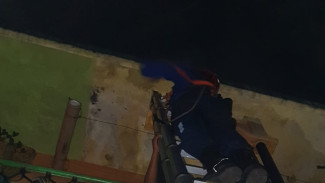 Usai Klojen, Unit Semut Ireng Damkar Kota Malang Maraton Jinakan Sarang Tawon di Lowokwaru